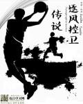 逐风控卫传说章节列表