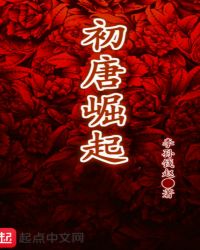 大唐小少爷章节列表