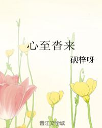 心至沓来章节列表
