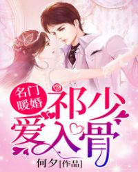 名门暖婚：祁少爱入骨章节列表
