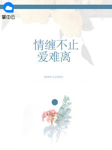 情缠不止爱难离章节列表