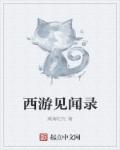 西游见闻录章节列表