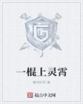 一棍上灵霄章节列表
