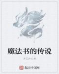 魔法书的传说章节列表
