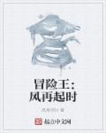 冒险王：风再起时章节列表