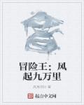 冒险王：风起九万里章节列表