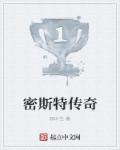 密斯特传奇章节列表