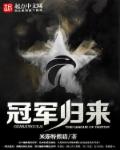 冠军归来章节列表