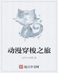 动漫穿梭之旅章节列表
