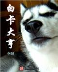 白卡大亨章节列表