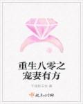 重生八零之宠妻有方章节列表