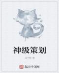 神级策划章节列表