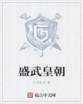 盛武皇朝章节列表
