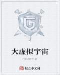 大虚拟宇宙章节列表