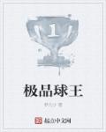 极品球王章节列表