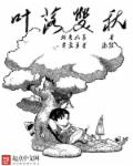 叶落双秋章节列表