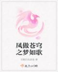 凤傲苍穹之梦如歌章节列表