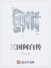 三国何白传章节列表