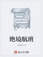 绝境航班章节列表
