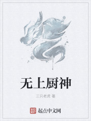 无上厨神章节列表