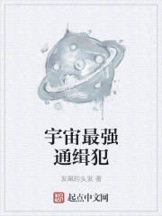 宇宙最强通缉犯章节列表