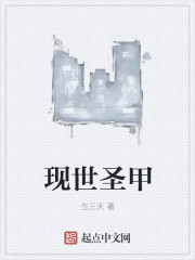 现世圣甲章节列表