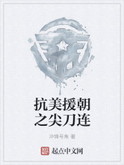 抗美援朝之尖刀连章节列表