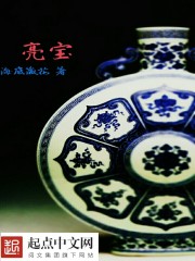 亮宝章节列表