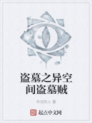 盗墓之异空间盗墓贼章节列表