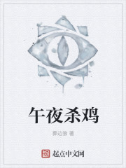 午夜杀鸡章节列表