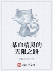 某血精灵的无限之路章节列表