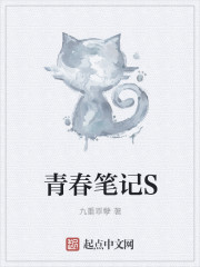 青春纪念笔记章节列表