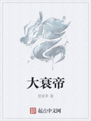 大衰帝章节列表