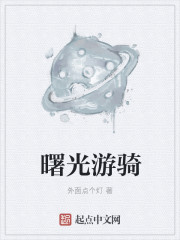 曙光游骑章节列表