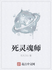 死灵魂师章节列表