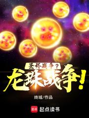 圣杯战争？龙珠战争！章节列表