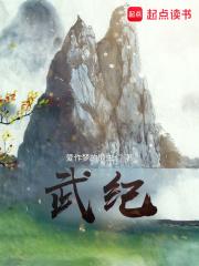 武纪章节列表