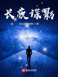 长夜谍影章节列表