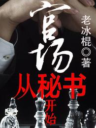 官场从秘书开始章节列表