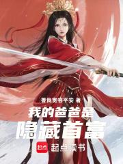 我的爸爸是隐藏首富章节列表