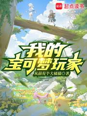 我的宝可梦玩家章节列表