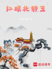红楼北静王章节列表