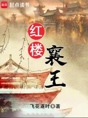 红楼襄王章节列表