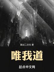 唯我道章节列表