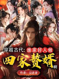 穿越古代：谁家好人做四家赘婿啊章节列表
