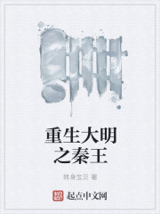 重生大明之秦王章节列表