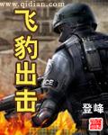 飞豹出击章节列表