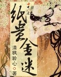 纸贵金迷章节列表