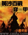 黄沙百战穿金甲章节列表