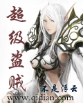 超级盗贼章节列表